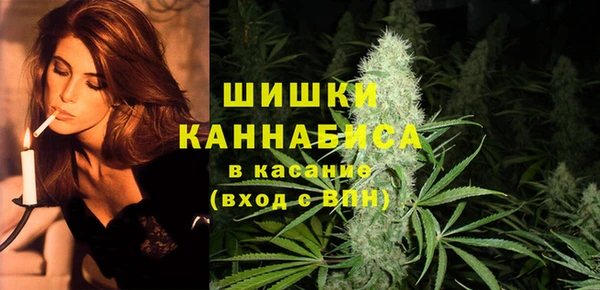 прущий лед Бородино