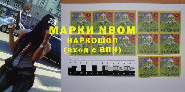 прущий лед Бородино