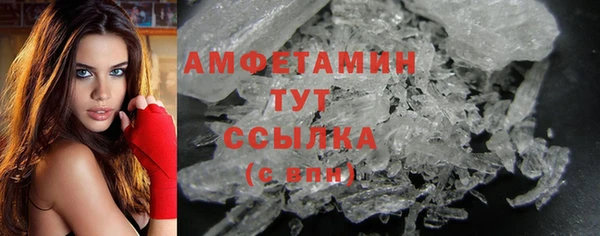 прущий лед Бородино
