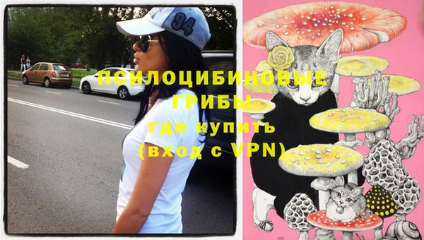 прущий лед Бородино