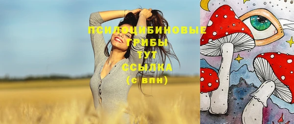 mdpv Бугульма